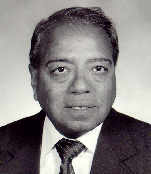 Raja V. Ramani