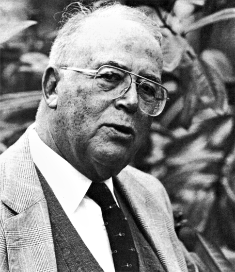 Simon David Strauss