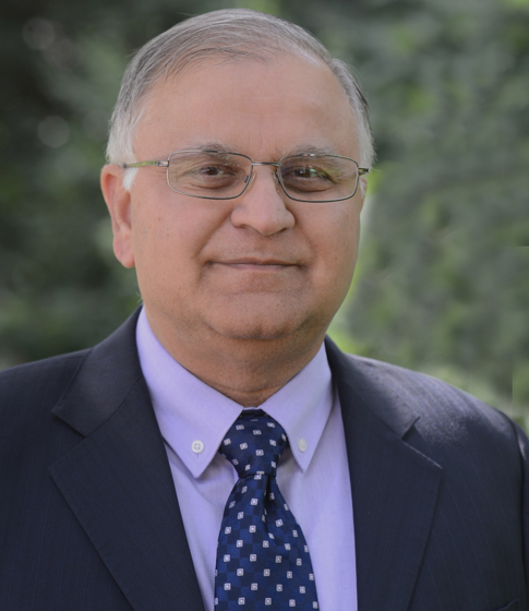 Madhu Ranade