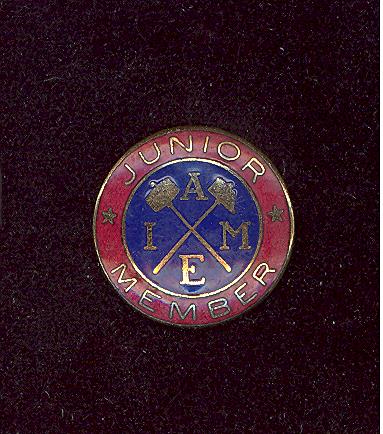 AIME Junior Member Pin